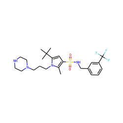 Cc1c(S(=O)(=O)NCc2cccc(C(F)(F)F)c2)cc(C(C)(C)C)n1CCCN1CCNCC1 ZINC000220778064