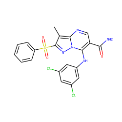 Cc1c(S(=O)(=O)c2ccccc2)nn2c(Nc3cc(Cl)cc(Cl)c3)c(C(N)=O)cnc12 ZINC000653787424
