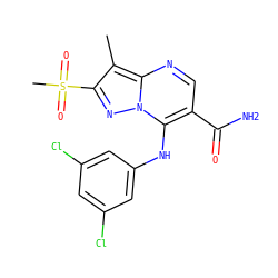 Cc1c(S(C)(=O)=O)nn2c(Nc3cc(Cl)cc(Cl)c3)c(C(N)=O)cnc12 ZINC000653785962