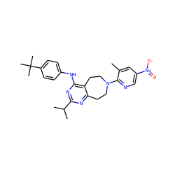 Cc1cc([N+](=O)[O-])cnc1N1CCc2nc(C(C)C)nc(Nc3ccc(C(C)(C)C)cc3)c2CC1 ZINC000144863610