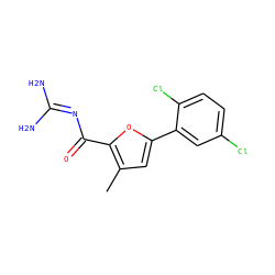 Cc1cc(-c2cc(Cl)ccc2Cl)oc1C(=O)N=C(N)N ZINC000028822479