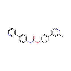 Cc1cc(-c2ccc(OC(=O)Nc3ccc(-c4cccnc4)cc3)cc2)ccn1 ZINC000473123506