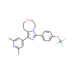 Cc1cc(-c2nc(-c3ccc(OC(F)(F)F)cc3)n3c2CCOCC3)cc(C)n1 ZINC001772608381