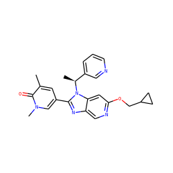 Cc1cc(-c2nc3cnc(OCC4CC4)cc3n2[C@@H](C)c2cccnc2)cn(C)c1=O ZINC001772613873