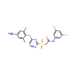 Cc1cc(C#N)cc(C)c1Oc1ccnc(S(=O)(=O)CC(=O)Nc2cc(Cl)cc(Cl)c2)n1 ZINC000473114957