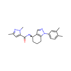 Cc1cc(C(=O)N[C@@H]2CCCc3c2cnn3-c2ccc(C)c(C)c2)n(C)n1 ZINC000012469778