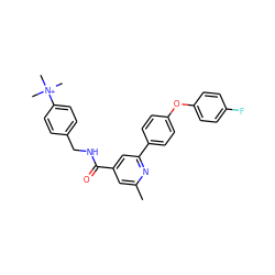 Cc1cc(C(=O)NCc2ccc([N+](C)(C)C)cc2)cc(-c2ccc(Oc3ccc(F)cc3)cc2)n1 ZINC000205654989