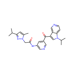 Cc1cc(C(C)C)nn1CC(=O)Nc1cncc(C(=O)c2cn(C(C)C)c3ccncc23)c1 ZINC001772631287
