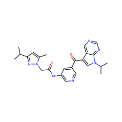 Cc1cc(C(C)C)nn1CC(=O)Nc1cncc(C(=O)c2cn(C(C)C)c3ncncc23)c1 ZINC000169707672