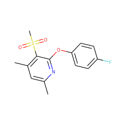 Cc1cc(C)c(S(C)(=O)=O)c(Oc2ccc(F)cc2)n1 ZINC000001387812