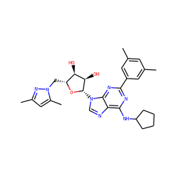 Cc1cc(C)cc(-c2nc(NC3CCCC3)c3ncn([C@@H]4O[C@H](Cn5nc(C)cc5C)[C@@H](O)[C@H]4O)c3n2)c1 ZINC001772602519
