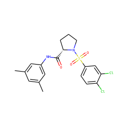 Cc1cc(C)cc(NC(=O)[C@@H]2CCCN2S(=O)(=O)c2ccc(Cl)c(Cl)c2)c1 ZINC000200363461