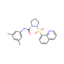 Cc1cc(C)cc(NC(=O)[C@@H]2CCCN2S(=O)(=O)c2cccc3cccnc23)c1 ZINC000005067008