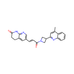 Cc1cc(C2CN(C(=O)/C=C/c3cnc4c(c3)CCC(=O)N4)C2)nc2ccccc12 ZINC000299833795