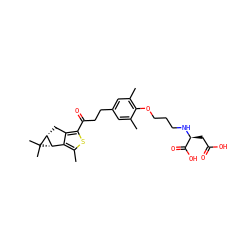 Cc1cc(CCC(=O)c2sc(C)c3c2C[C@@H]2[C@H]3C2(C)C)cc(C)c1OCCCN[C@@H](CC(=O)O)C(=O)O ZINC000103231072