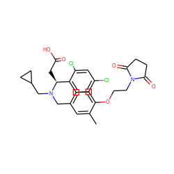 Cc1cc(CN(CC2CC2)[C@@H](CC(=O)O)c2ccc(Cl)cc2Cl)ccc1OCCN1C(=O)CCC1=O ZINC000220716097
