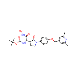 Cc1cc(COc2ccc(N3CC[C@H]([C@H](NC(=O)OC(C)(C)C)C(=O)NO)C3=O)cc2)cc(C)n1 ZINC000013490358