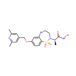 Cc1cc(COc2ccc3c(c2)NCCN([C@H](C)C(=O)NO)S3(=O)=O)cc(C)n1 ZINC000013518147