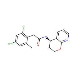 Cc1cc(Cl)cc(Cl)c1CC(=O)N[C@@H]1CCOc2ncccc21 ZINC000146525042
