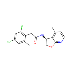 Cc1cc(Cl)cc(Cl)c1CC(=O)N[C@@H]1COc2nccc(C)c21 ZINC000146724913