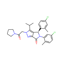 Cc1cc(Cl)ccc1[C@@H]1c2c(nn(CC(=O)N3CCCC3)c2C(C)C)C(=O)N1c1cc(Cl)ccc1C ZINC000206140038