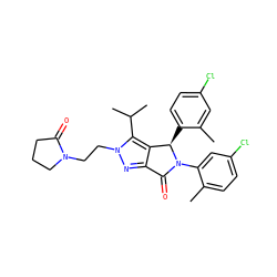Cc1cc(Cl)ccc1[C@@H]1c2c(nn(CCN3CCCC3=O)c2C(C)C)C(=O)N1c1cc(Cl)ccc1C ZINC000206145088