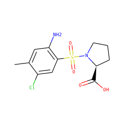 Cc1cc(N)c(S(=O)(=O)N2CCC[C@H]2C(=O)O)cc1Cl ZINC000013687264