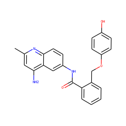 Cc1cc(N)c2cc(NC(=O)c3ccccc3COc3ccc(O)cc3)ccc2n1 ZINC000013835522