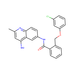 Cc1cc(N)c2cc(NC(=O)c3ccccc3COc3cccc(Cl)c3)ccc2n1 ZINC000013835528