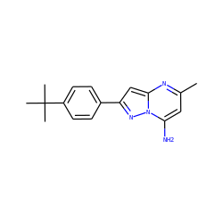 Cc1cc(N)n2nc(-c3ccc(C(C)(C)C)cc3)cc2n1 ZINC000000313435