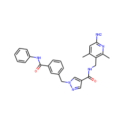Cc1cc(N)nc(C)c1CNC(=O)c1cnn(Cc2cccc(C(=O)Nc3ccccc3)c2)c1 ZINC000114078622