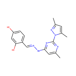 Cc1cc(N/N=C/c2ccc(O)cc2O)nc(-n2nc(C)cc2C)n1 ZINC000004550634