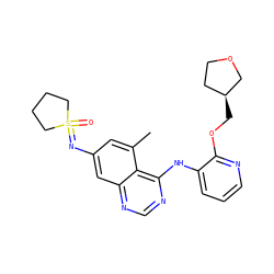 Cc1cc(N=S2(=O)CCCC2)cc2ncnc(Nc3cccnc3OC[C@H]3CCOC3)c12 ZINC001772652913