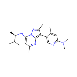 Cc1cc(N[C@H](C)C(C)C)n2nc(C)c(-c3cnc(N(C)C)cc3C)c2n1 ZINC000013583130