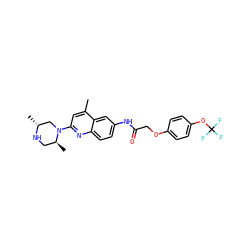 Cc1cc(N2C[C@@H](C)NC[C@@H]2C)nc2ccc(NC(=O)COc3ccc(OC(F)(F)F)cc3)cc12 ZINC000028570891