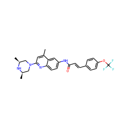 Cc1cc(N2C[C@H](C)N[C@H](C)C2)nc2ccc(NC(=O)/C=C/c3ccc(OC(F)(F)F)cc3)cc12 ZINC000013671963