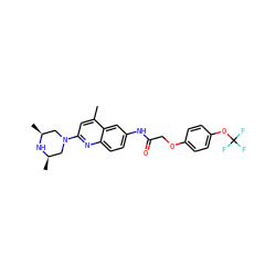 Cc1cc(N2C[C@H](C)N[C@H](C)C2)nc2ccc(NC(=O)COc3ccc(OC(F)(F)F)cc3)cc12 ZINC000028570890