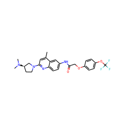 Cc1cc(N2CC[C@@H](N(C)C)C2)nc2ccc(NC(=O)COc3ccc(OC(F)(F)F)cc3)cc12 ZINC000028570538