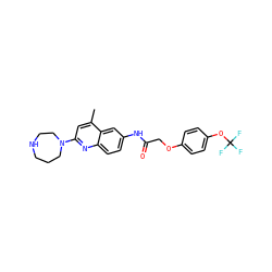 Cc1cc(N2CCCNCC2)nc2ccc(NC(=O)COc3ccc(OC(F)(F)F)cc3)cc12 ZINC000028568871