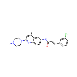 Cc1cc(N2CCN(C)CC2)nc2ccc(NC(=O)/C=C/c3cccc(Cl)c3)cc12 ZINC000020114377