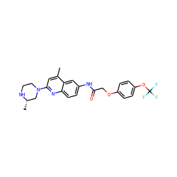Cc1cc(N2CCN[C@@H](C)C2)nc2ccc(NC(=O)COc3ccc(OC(F)(F)F)cc3)cc12 ZINC000028570116