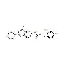Cc1cc(N2CCOCC2)nc2ccc(NC(=O)COc3ccc(Cl)cc3Cl)cc12 ZINC000003649701