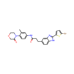 Cc1cc(NC(=O)CCc2ccc3[nH]c(-c4ccc(Br)s4)nc3c2)ccc1N1CCOCC1=O ZINC000027201406