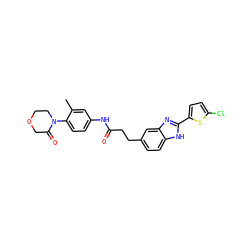 Cc1cc(NC(=O)CCc2ccc3[nH]c(-c4ccc(Cl)s4)nc3c2)ccc1N1CCOCC1=O ZINC000027211637