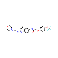 Cc1cc(NCCN2CCOCC2)nc2ccc(NC(=O)COc3ccc(OC(F)(F)F)cc3)cc12 ZINC000028569608
