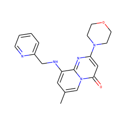 Cc1cc(NCc2ccccn2)c2nc(N3CCOCC3)cc(=O)n2c1 ZINC000114827862