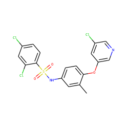 Cc1cc(NS(=O)(=O)c2ccc(Cl)cc2Cl)ccc1Oc1cncc(Cl)c1 ZINC000095588516