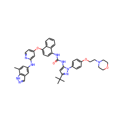 Cc1cc(Nc2cc(Oc3ccc(NC(=O)Nc4cc(C(C)(C)C)nn4-c4ccc(OCCN5CCOCC5)cc4)c4ccccc34)ccn2)cc2cn[nH]c12 ZINC001772580103