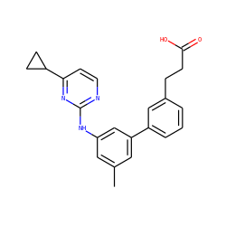 Cc1cc(Nc2nccc(C3CC3)n2)cc(-c2cccc(CCC(=O)O)c2)c1 ZINC000211036177