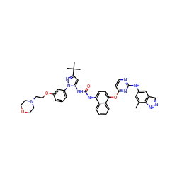 Cc1cc(Nc2nccc(Oc3ccc(NC(=O)Nc4cc(C(C)(C)C)nn4-c4cccc(OCCN5CCOCC5)c4)c4ccccc34)n2)cc2cn[nH]c12 ZINC000211177889